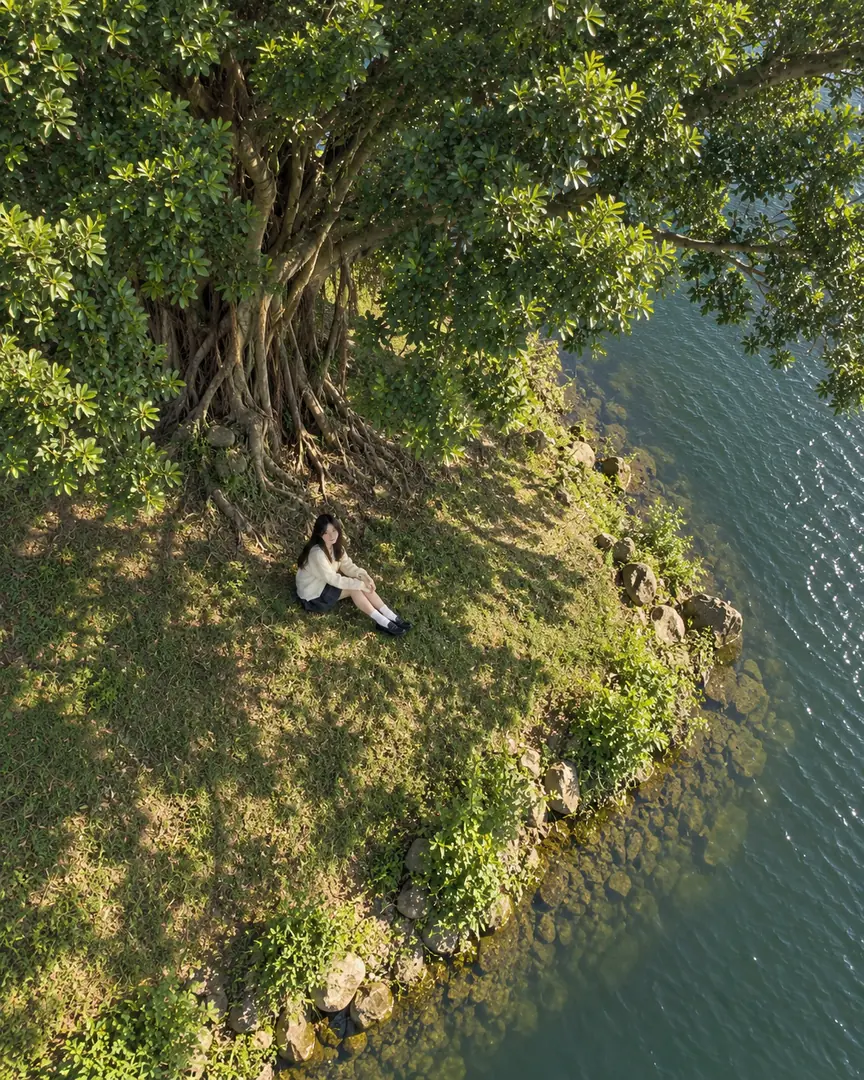 Drone version: shot from straight above, the person is small and the tree and shore become shapes