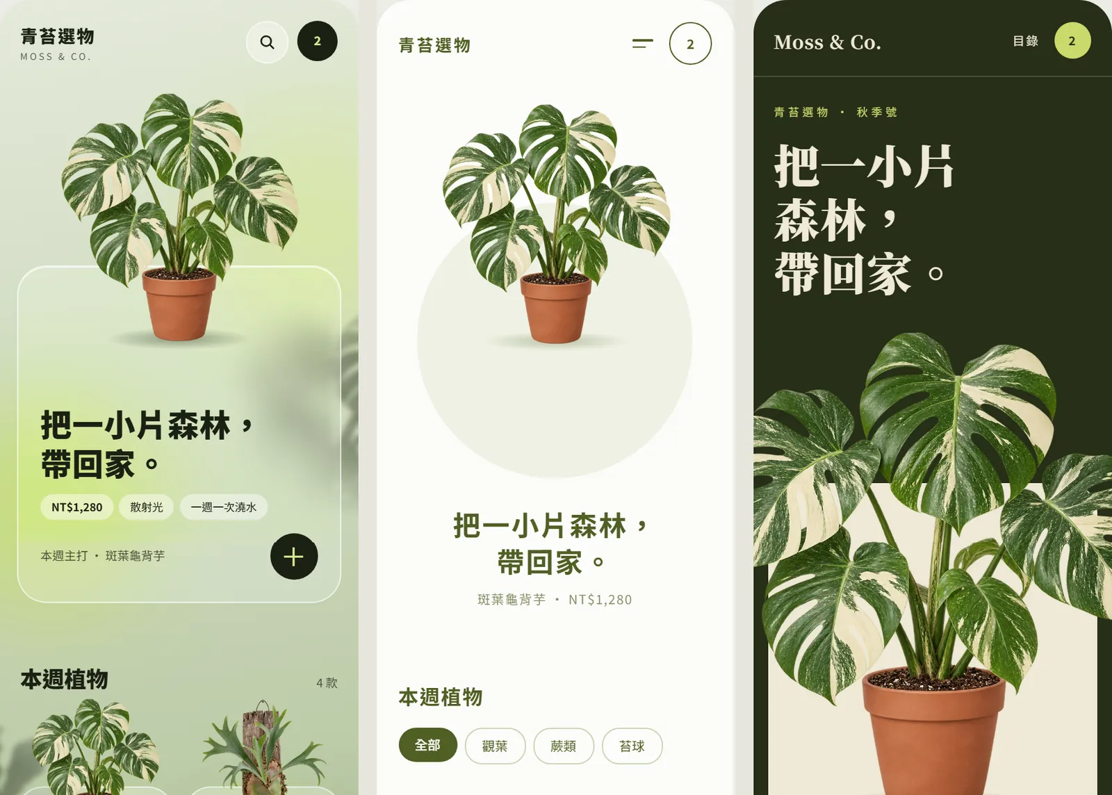 Three mobile homepages side by side: glassmorphism, minimal and editorial