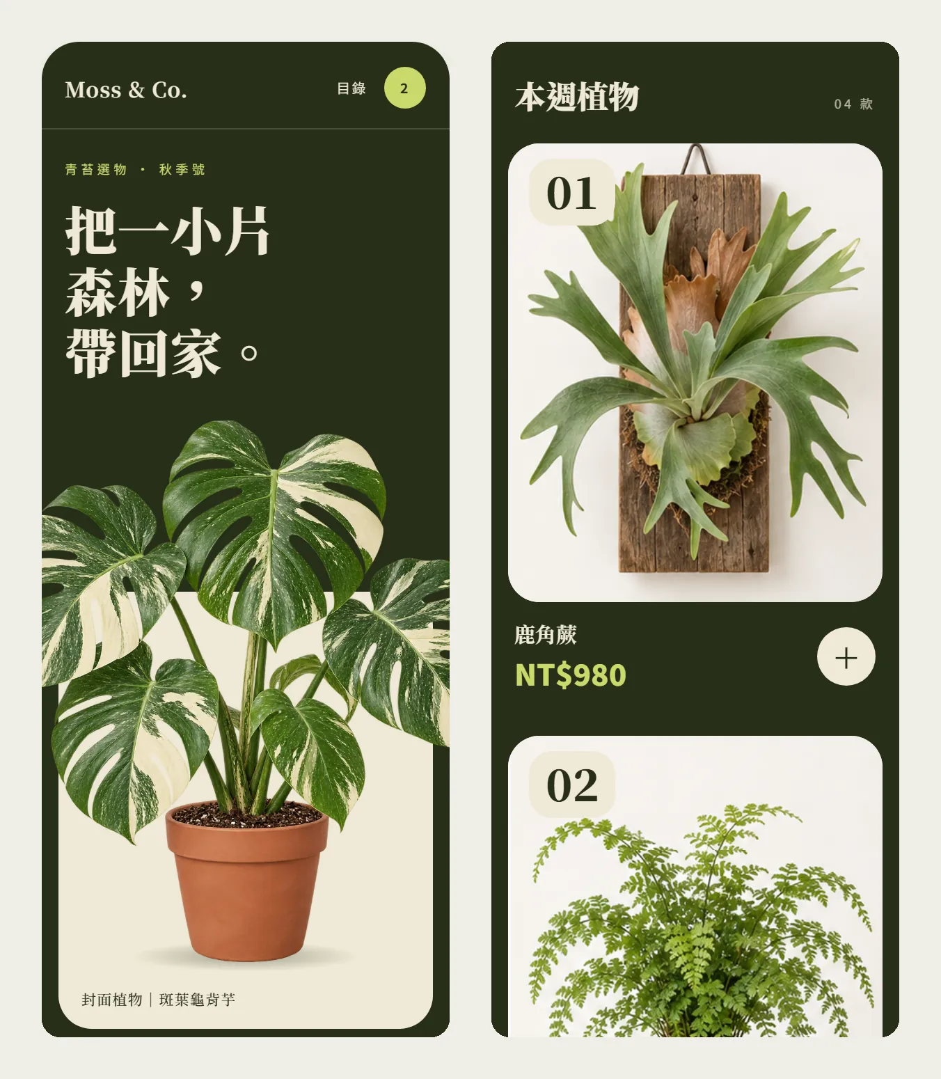 Version C, editorial: dark green background, cream serif headline and a large numbered staghorn fern card