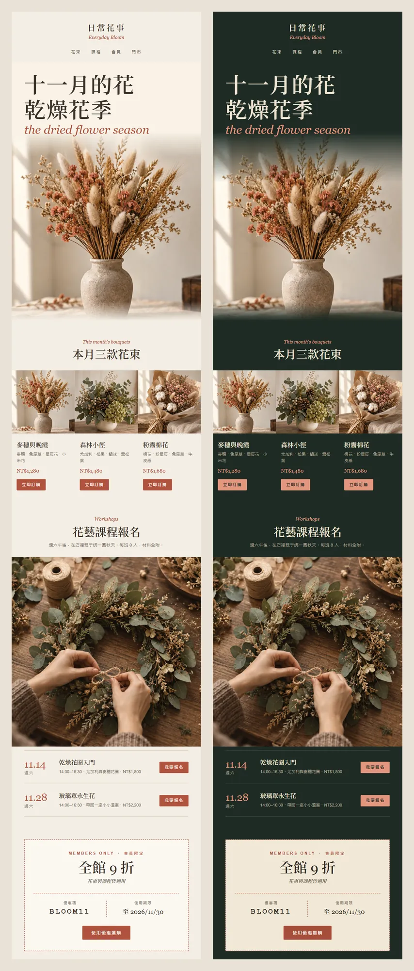 Light and dark versions of the same newsletter side by side